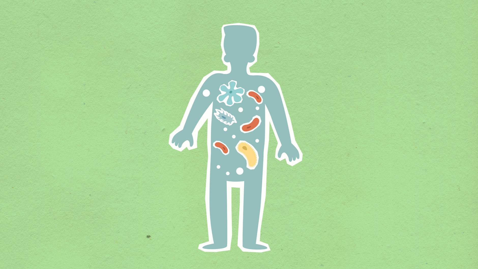 Probiotics, Prebiotics, and Microbiome Testing in 2026