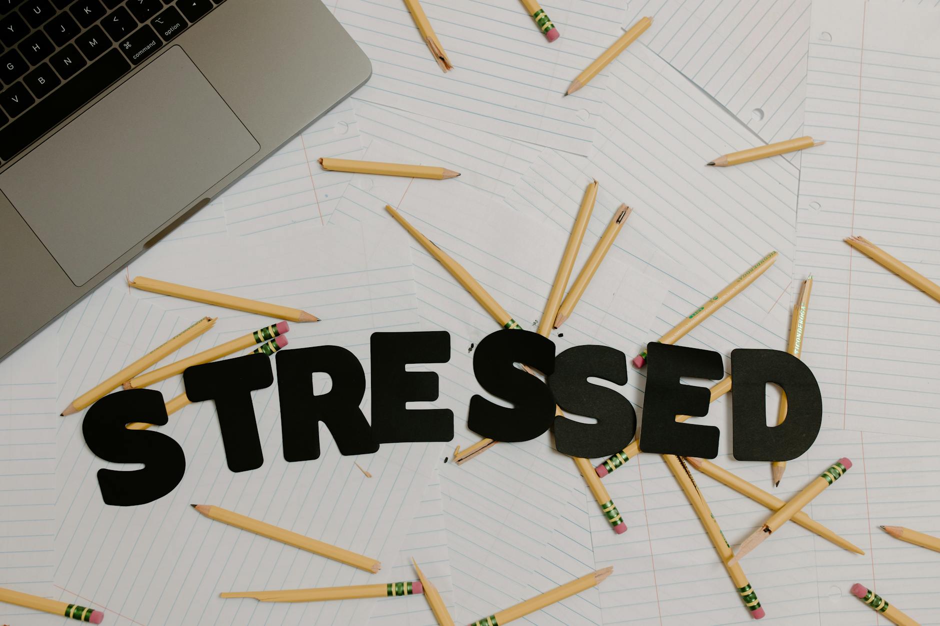 Stress Management Techniques That Actually Work